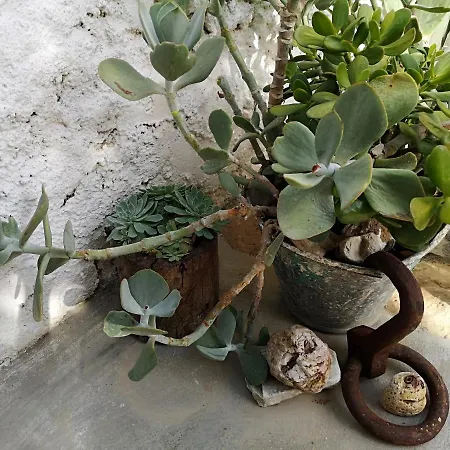 Holiday home Granny's Olive Mill Palekastro