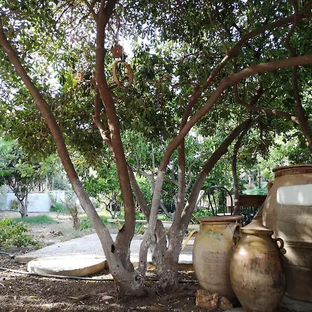 Granny's Olive Mill * Palekastro