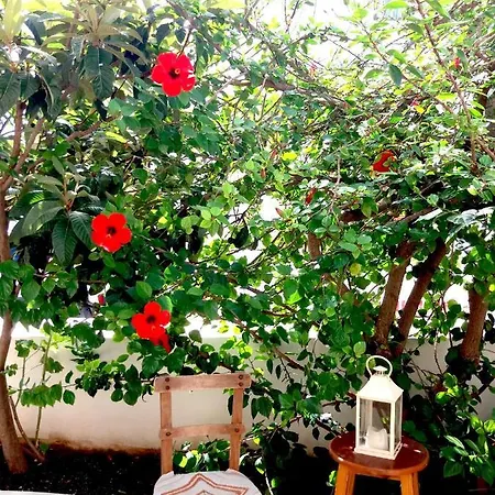 Granny's Olive Mill Holiday home