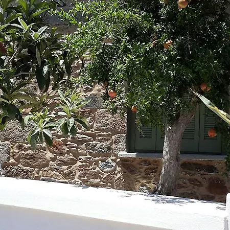 Granny's Olive Mill Holiday home