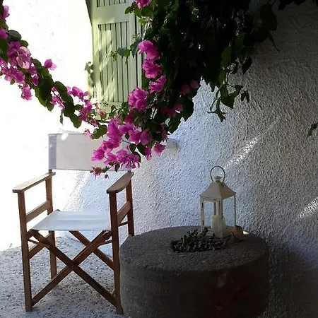 Granny's Olive Mill *